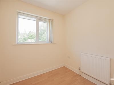 Picture 24